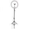 Lampa LED SELFIE średnica 36cm wysoka 327598 Sanico Goldlux